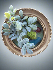 Light up-led-4×4"-frame-circle- wall-shelf-decoration